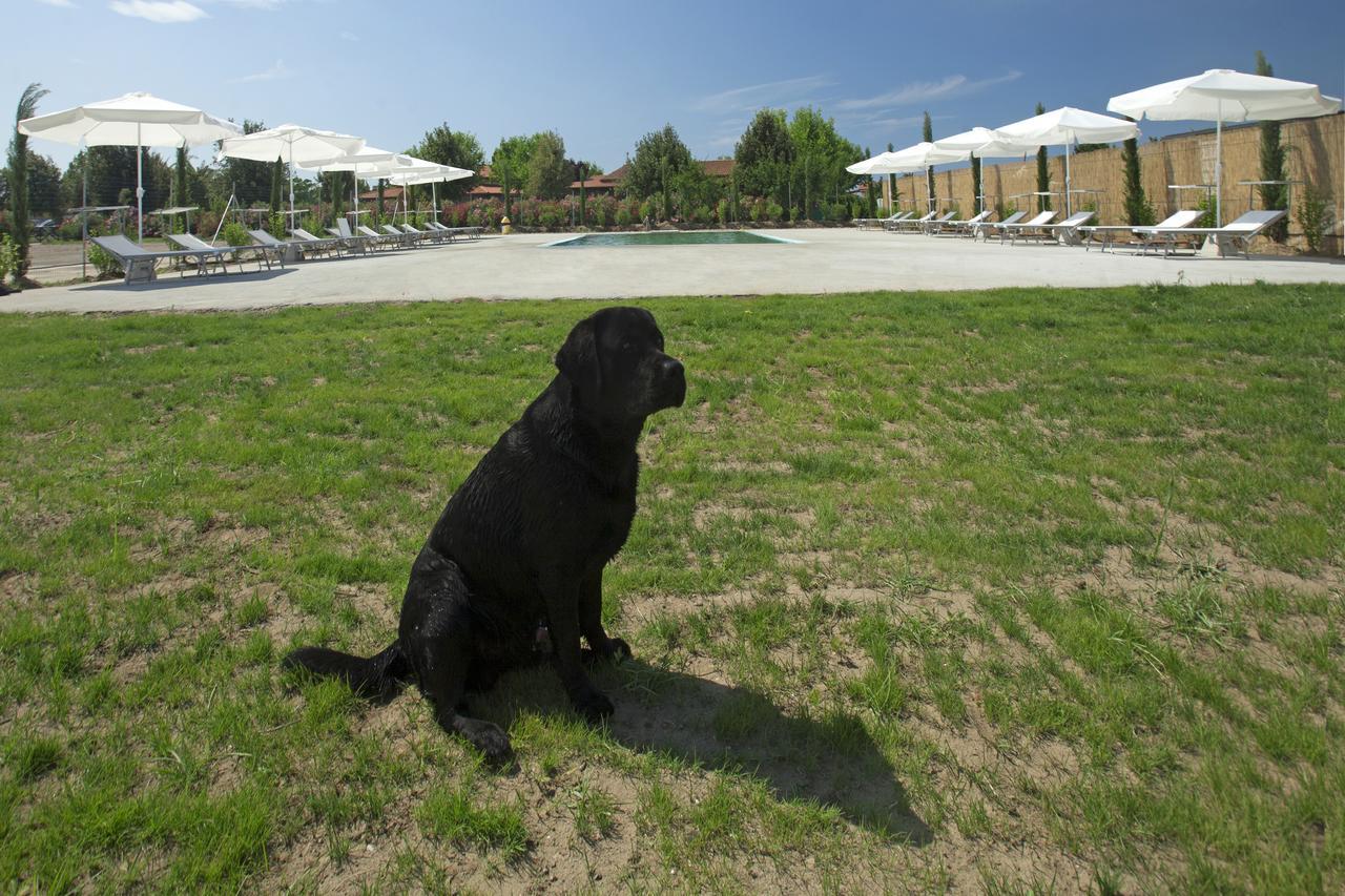 Fattoria Maremmana Aparthotel Marina di Grosseto Exterior foto